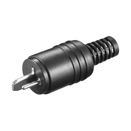 Plug for loudspeaker, screw connection